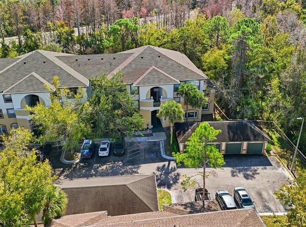 17106 CARRINGTON PARK Drive, TAMPA, FL 33647