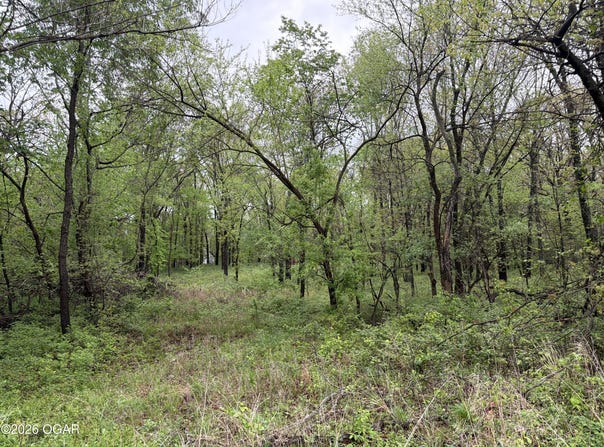 Tract 2 Ivy Road, Carthage, MO 64836