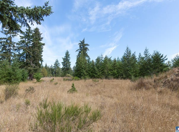 Secor Road lot: 3, Sequim, WA 98382-0000