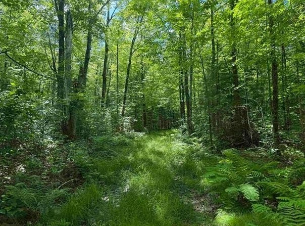 WONDER RD, Phillips, WI 54555