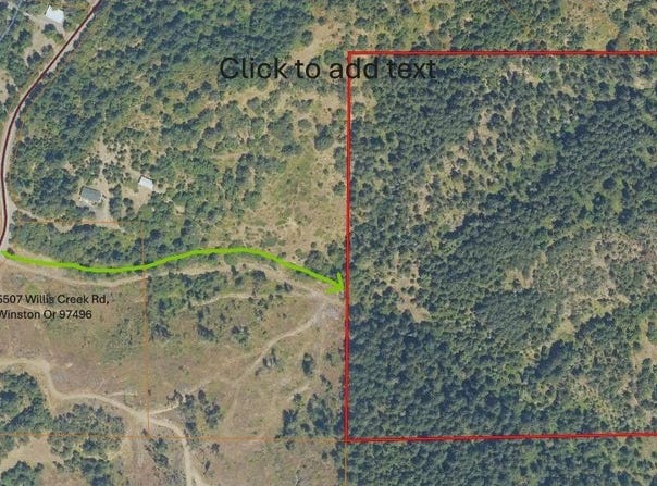WILLIS CREEK Rd, Winston, OR 97496