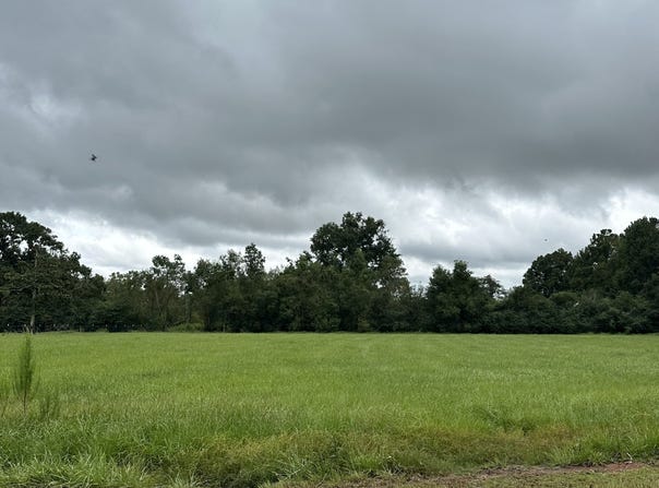 0 Oak Lane Oak Lane, Stapleton, AL 36578