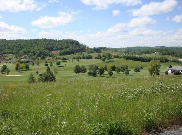 Birdie Drive, Peterstown, WV 24963