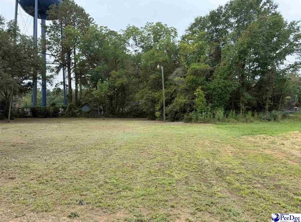 1002 E Dargan St, Dillon, SC 29536