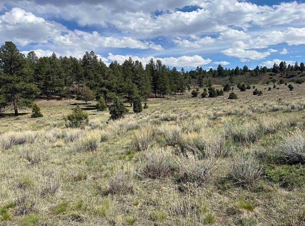 White Tail Lane, Ridgway, CO 81432