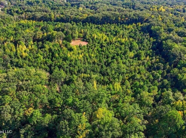 Springridge Rd, Raymond, MS 39154