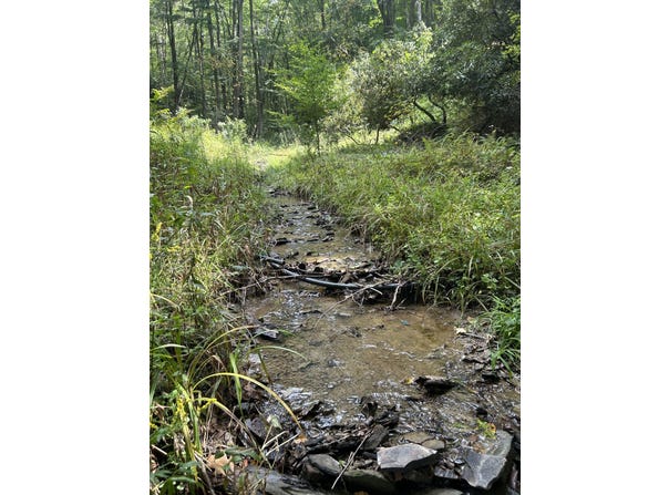 230 Little River Retreat Rd, Bartow, WV 24920