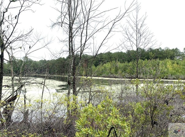 CR 2339, Marietta, TX 75566
