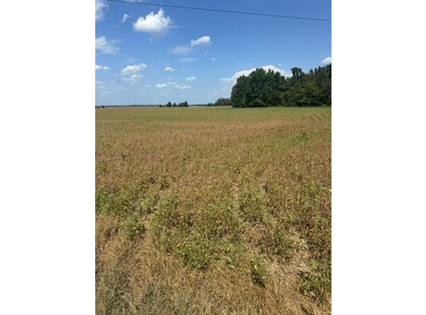 Tbd Blue Cane Road, Charleston, MS 38921