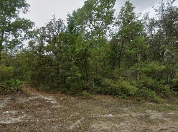 HIGHLINE Trail, SATSUMA, FL 32189