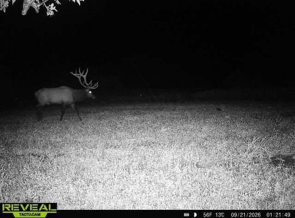 WP1, Lower Brule, SD 57548