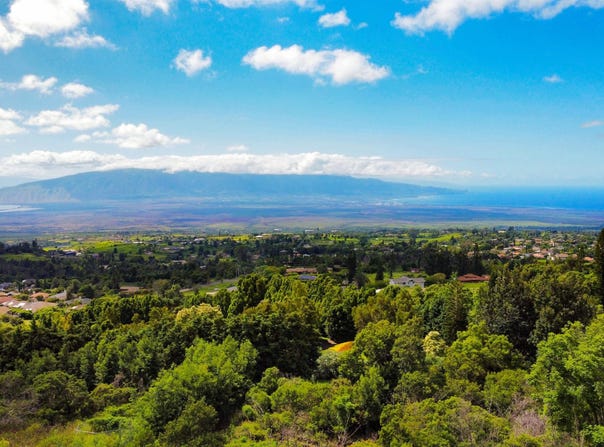 Malanani Dr, Kula, HI 96790