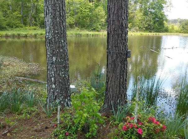 000 Co Rd 1069, Vinemont, AL 35179