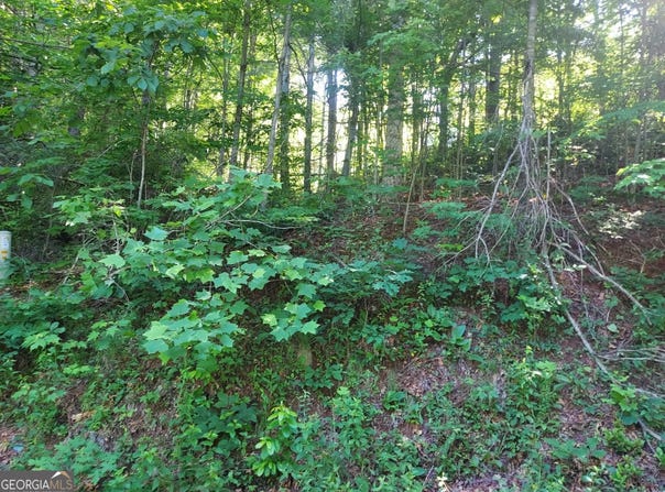 DRIVER Lane, Sky Valley, GA 30537