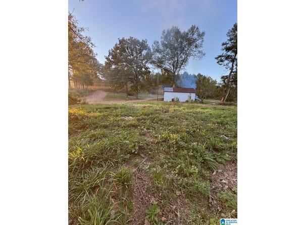 15806 HIGHWAY 82 lot: 1, DUNCANVILLE, AL 35456