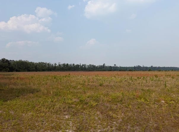 Moore Road Tract 9, Naylor, GA 31641