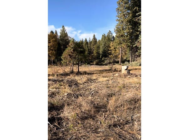 Shaver Lake, Auberry, CA 93602