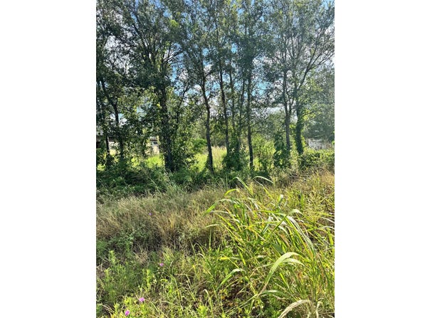 Union Chapel Rd, Cedar Creek, TX 78612