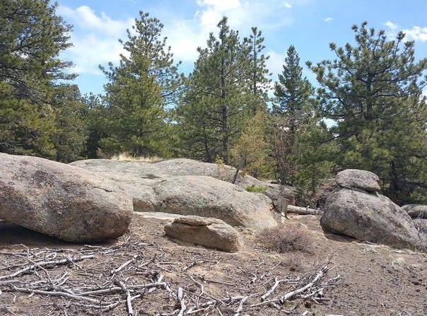 2928 Fox Acres Dr E, Red Feather Lakes, CO 80545