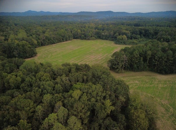 Highway 25, Wilsonville, AL 35044
