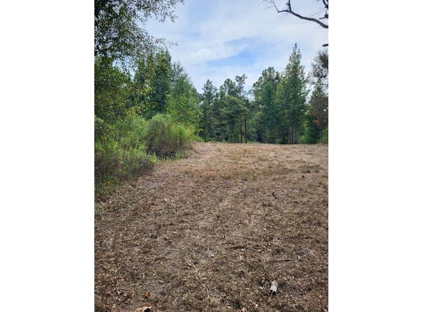 6077 US Hwy 96 N, Bronson, TX 75930