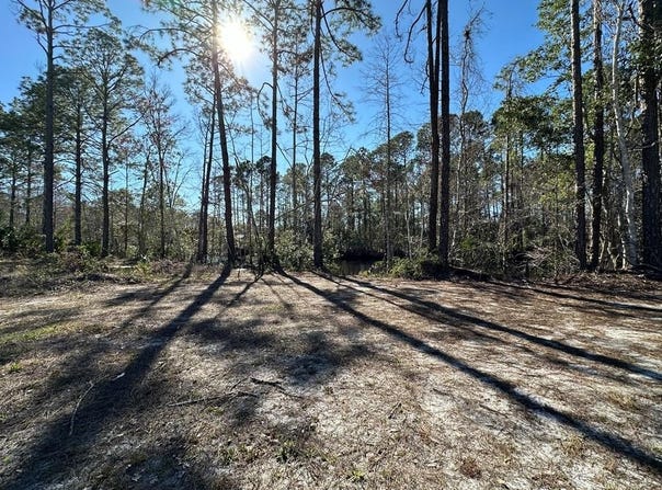 SE 851st Ave, Suwannee, FL 32692