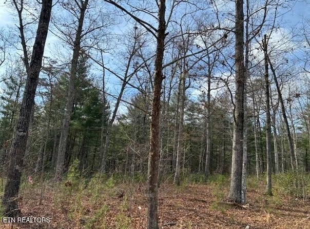 Mountain Ash Way, Sevierville, TN 37876