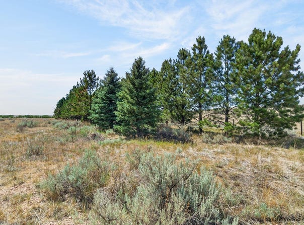 2312 MUGHO RD, Cheyenne, WY 82009