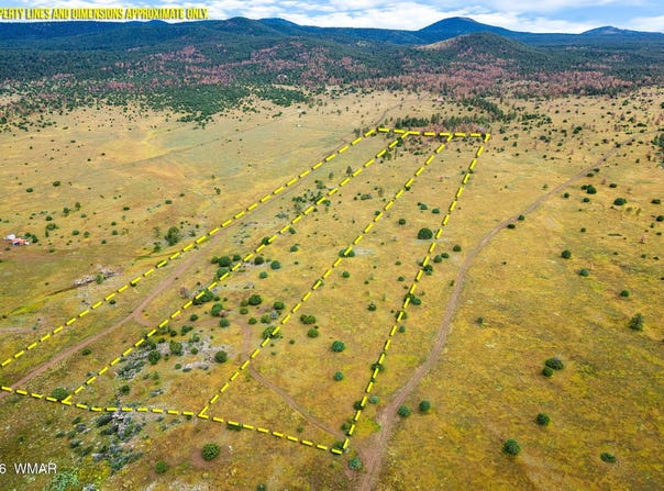 County Rd N1334, Greer, AZ 85927