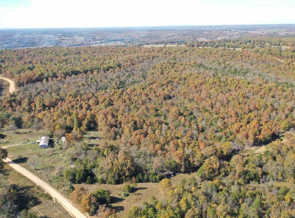 7077 MOUNT CALM ROAD, Gepp, AR 72538