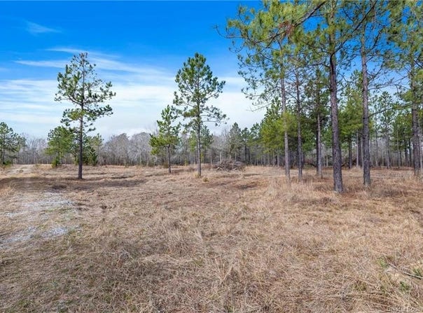 0 Conway Rosteet Road, Ragley, LA 70657