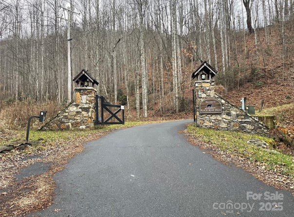 805 Sparkling Falls Road, Whittier, NC 28789
