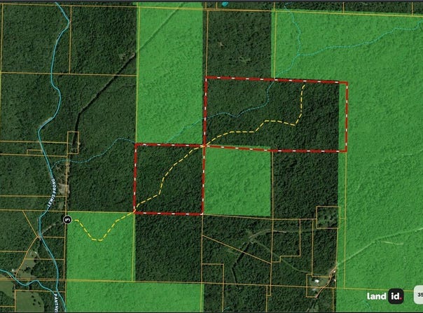 Panther Creek Road, Oark, AR 72854