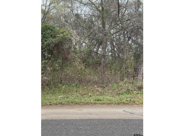 1303 Elysian Feilds Ave, Marshall, TX 75670