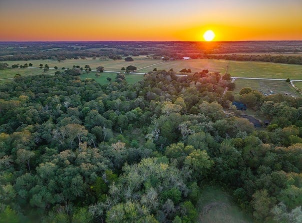TBD FM 2238 - Freyburg Area, Schulenburg, TX 78956