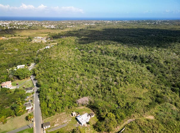 PR4459 Ceiba Alta, Aguadilla, 00603