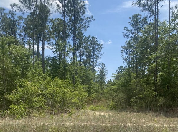 Joe Dugger Road, Freeport, FL 32439