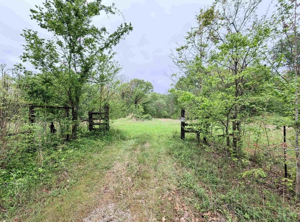 Jack Long Road, Troy, TN 38260