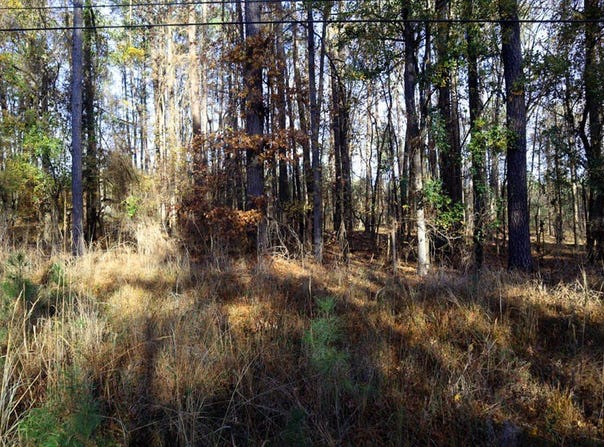 Lt.7 LAKE SINCLAIR DR., Sparta, GA 31087