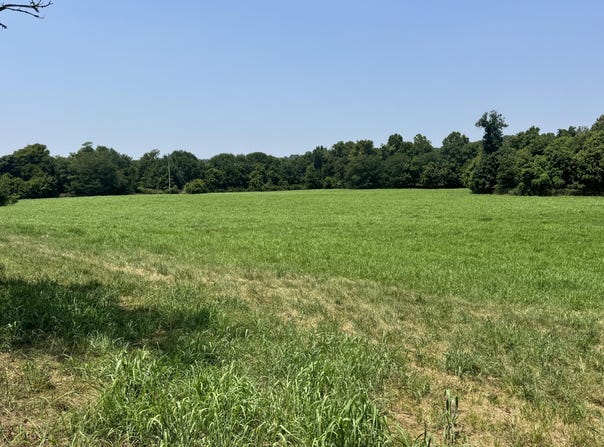Gracie Lane, Pineville, MO 64856