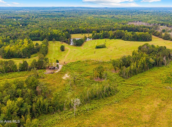 1725 Claud Fleahop Rd, Eclectic, AL 36024