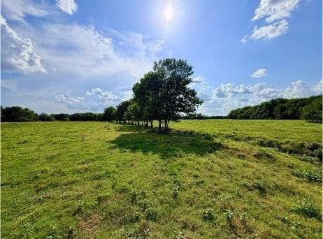 CR 2145, Cooper, TX 75432
