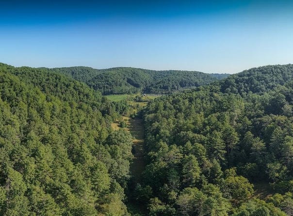 Nubbins Ridge Road, BEESON, WV 24714