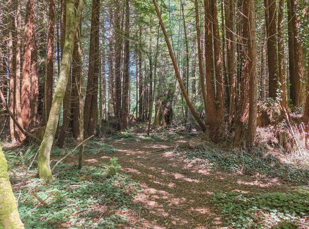 200 Joseph Lane, Crescent City, CA 95531