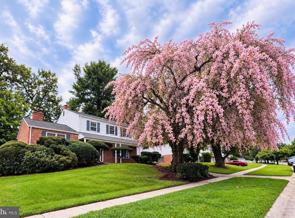 900 LAMBERTON Drive, SILVER SPRING, MD 20902
