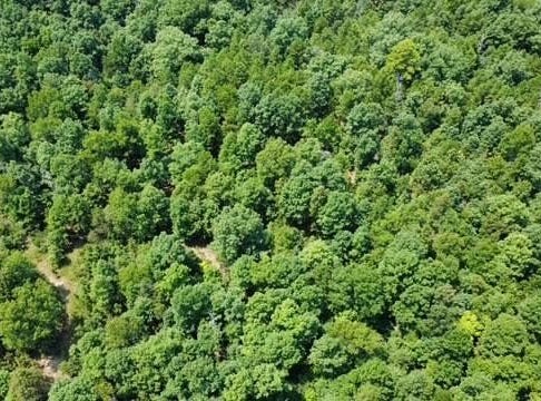 County Road 434, Birch Tree, MO 65438