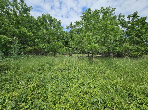 State Highway K, Everton, MO 65646