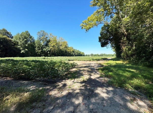 Delaware Rd, Courtland, VA 23837
