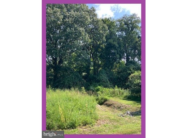 OVERLAND Drive, BUSHWOOD, MD 20618