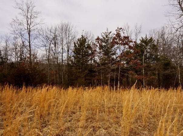 OAKRIDGE DRIVE lot: 21, Gepp, AR 72538